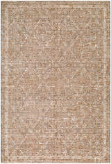 Close-up of the Vintage Edit II Rachel Zoe x LIVABLISS RZDT-2305 area rug. Beige, chestnut, ivory, and taupe traditional pattern. Design-Rectangle-6796