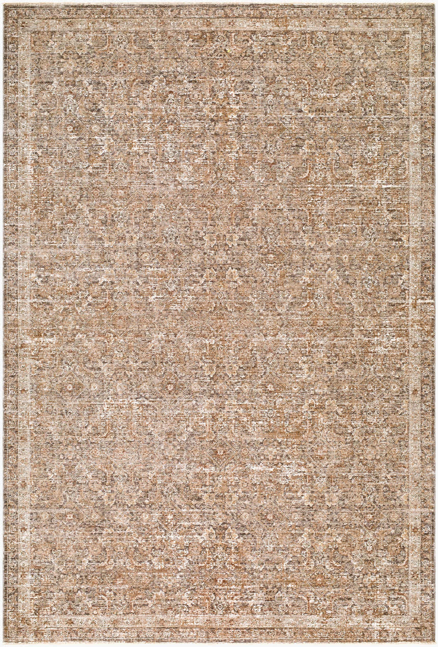 Close-up of the Vintage Edit II Rachel Zoe x LIVABLISS RZDT-2305 area rug. Beige, chestnut, ivory, and taupe traditional pattern. Design-Rectangle-6796