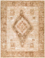 Close-up of Vintage Edit II Rachel Zoe x LIVABLISS RZDT-2307 rug. Beige, chestnut, and ivory traditional diamond pattern. Design-Rectangle-6796