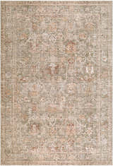 Close-up of Vintage Edit II Rachel Zoe x LIVABLISS RZDT-2310 rug. Antique ivory, terracotta, sage, and taupe traditional pattern. Design-Rectangle-6796