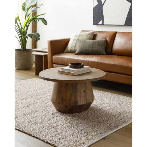 Living room scene with a Kamil Beige Solid Area Rug, leather sofa, and wood coffee table. Roomscene-Rectangle