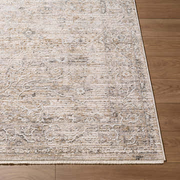 Close-up of the Pinee Light Gray Persian rug showing beige, cream, and gray tones on wood floor. Front
