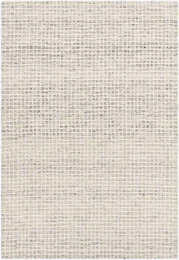 Close-up of the Anahid Beige Area Rug. Hand-tufted wool rug with a light silver and silver gray checkered pattern. Design-Rectangle-576