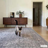 Living room scene with a cat on the Greenpoint Dusty Blue Washable Rug. The rug has a vintage, oriental design. Roomscene-Rectangle