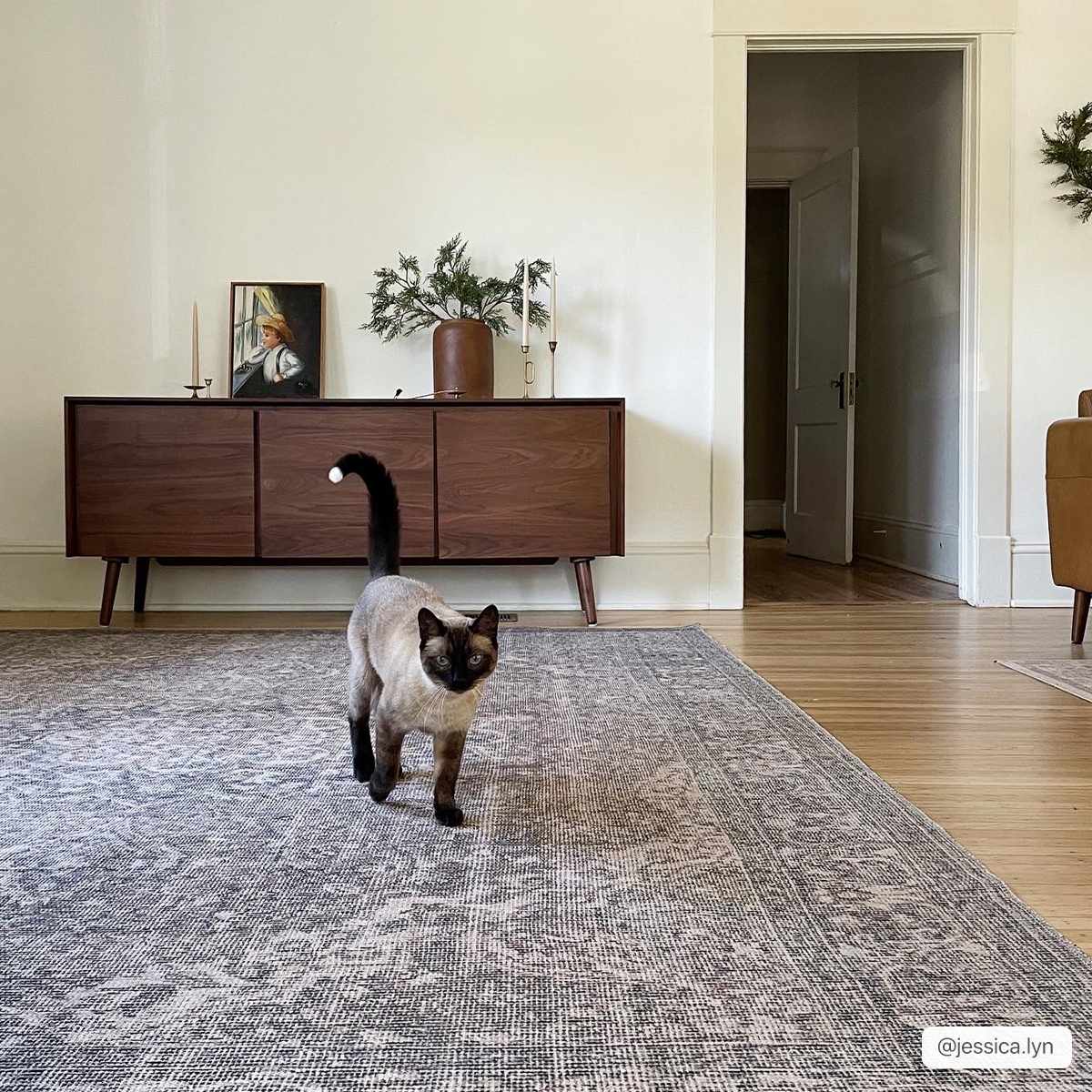 Living room scene with a cat on the Greenpoint Dusty Blue Washable Rug. The rug has a vintage, oriental design. Roomscene-Rectangle