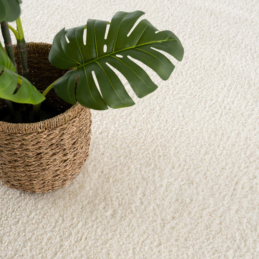 Close-up of the Judy White Washable Area Rug showing its soft, plush texture and off-white color, styled with a potted monstera plant. Styleshot