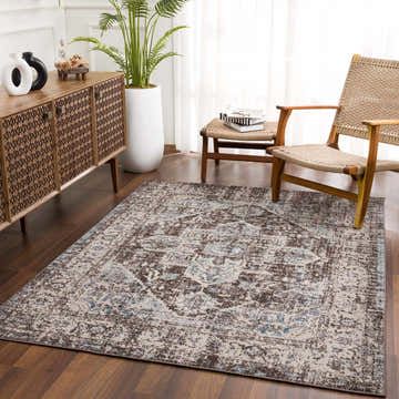 Living room scene with a Peeta Dark Brown Medallion Area Rug, wood cabinet, woven chairs, and a tall potted plant. Roomscene-Rectangle