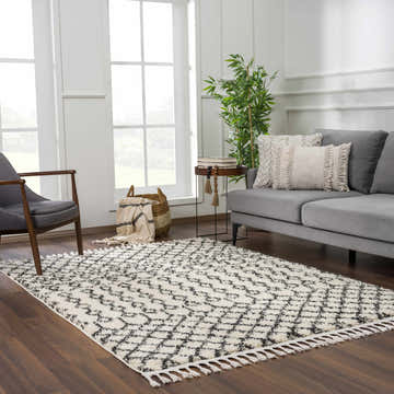 Living room scene with a Muni Berber Shag Rug in charcoal and light beige, gray sofa, and wood floors. Roomscene-Rectangle