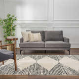 Living room scene with gray sofa, chair, and Howth Area Rug in bone and dark gray. Roomscene-Rectangle