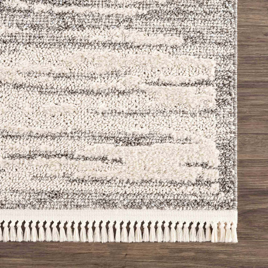 Close-up of the Lave Bone & Taupe Area Rug showing its textured, striped design and bone-colored fringe on a dark wood floor. Swatch