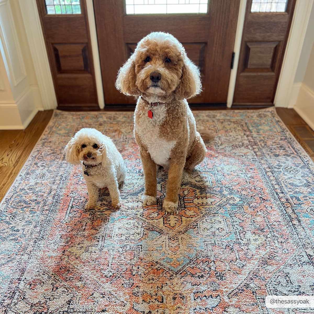 Two dogs sit on the Beck Peach Washable Area Rug in an entryway. The rug has beige, blue, and peach tones. Roomscene-Rectangle