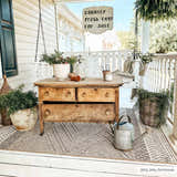 Farmhouse porch scene with a Beige Areli Area Rug, wooden dresser, plants, and swing. Roomscene-Rectangle