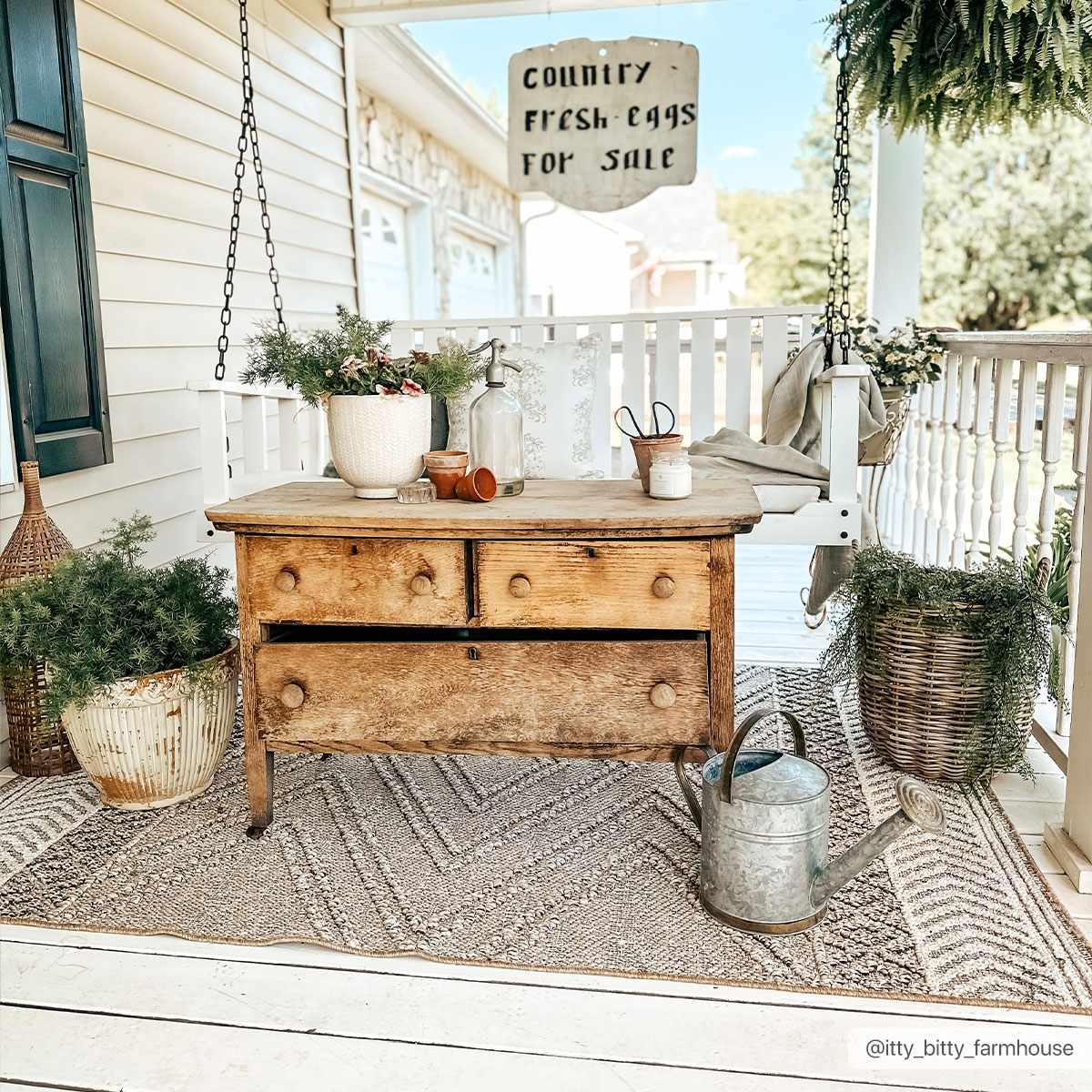 Farmhouse porch scene with a Beige Areli Area Rug, wooden dresser, plants, and swing. Roomscene-Rectangle