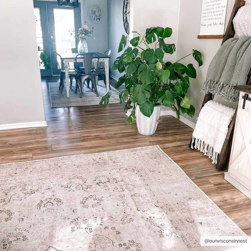 Dining room scene with a beige Bethany Vintage Flat Pile Washable Rug, wood floors, table, monstera plant, and blanket ladder. Roomscene-Rectangle