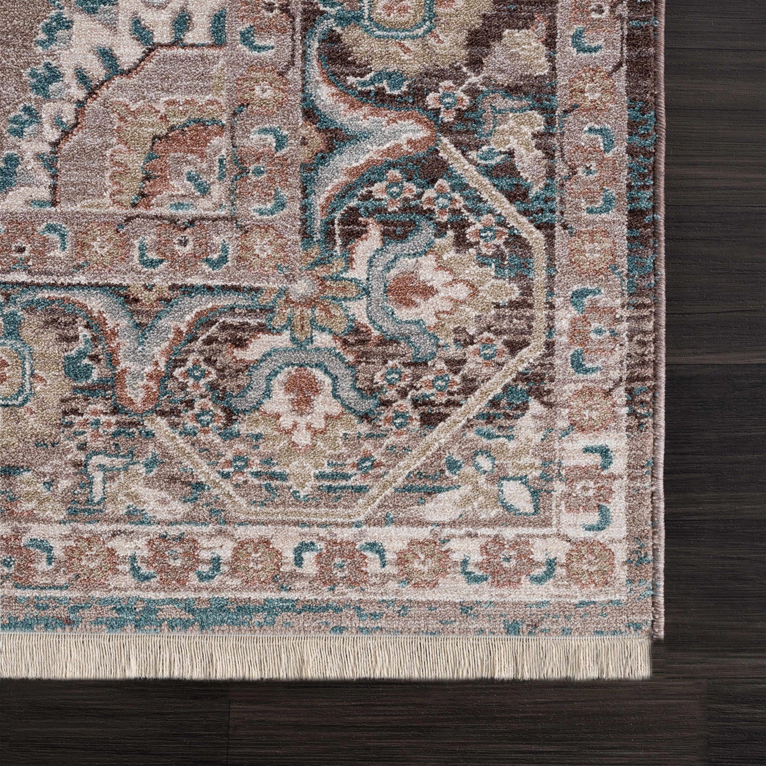 Close up of the Baychester Brown Area Rug showing its traditional oriental design, fringe, and colors. Swatch