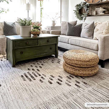 Living room scene with a Cabarroguis Area Rug in cream and charcoal, paired with a green coffee table and neutral sofa. Roomscene-Rectangle