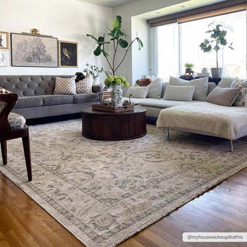 Living room with gray sofa and Clee Area Rug in driftwood, gray, and nutmeg tones. Traditional style. Roomscene-Rectangle