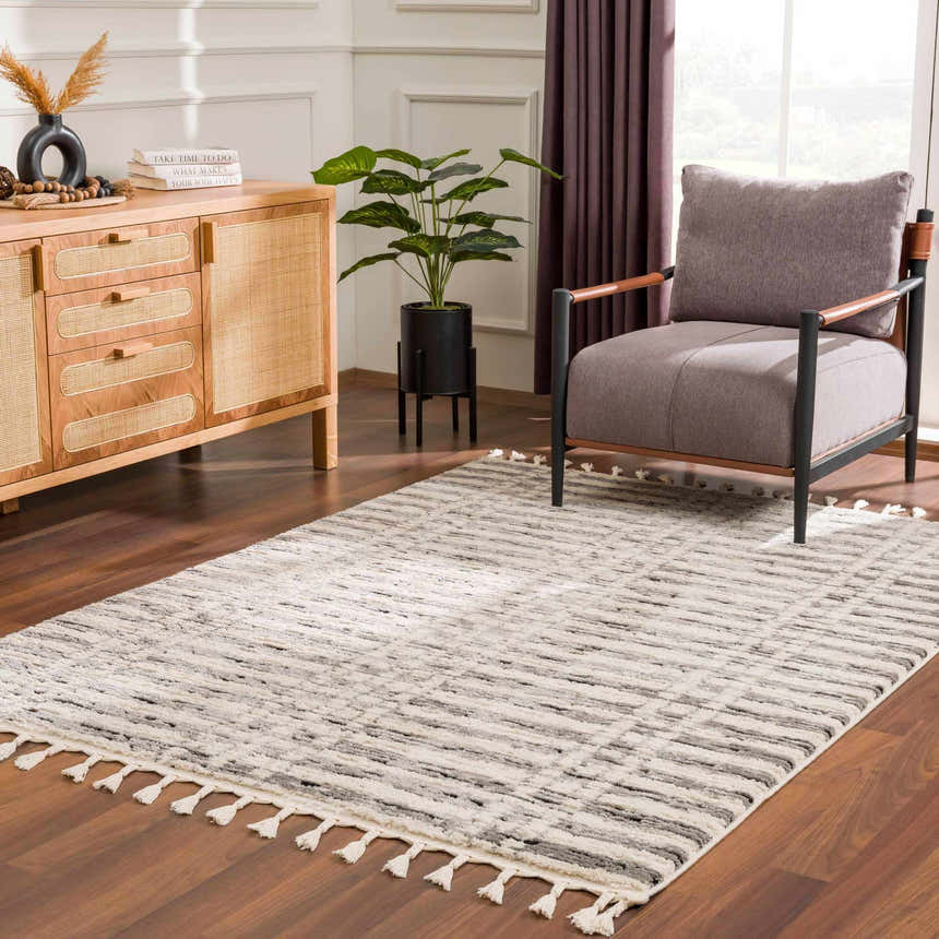 Living room scene with a beige and black Nava Area Rug, wood cabinet, gray chair, and indoor plant. Roomscene-Rectangle