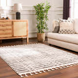 Living room scene with a beige Nava Area Rug, wood cabinet, sofa, and plant. Contemporary style. Roomscene-Rectangle