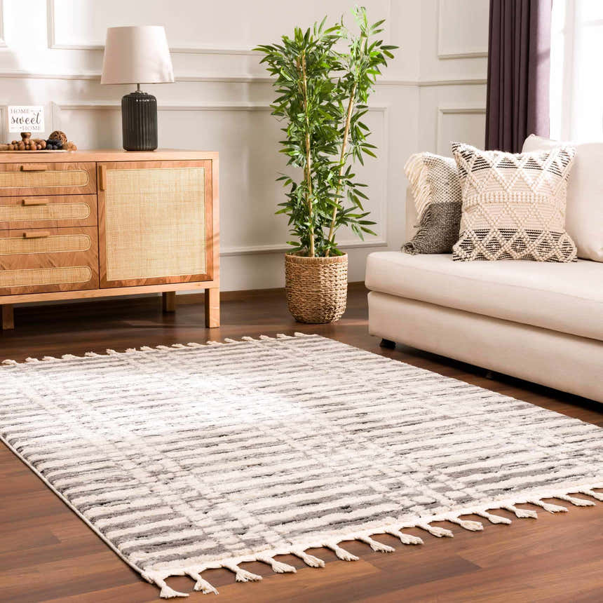 Living room scene with a beige Nava Area Rug, wood cabinet, sofa, and plant. Contemporary style. Roomscene-Rectangle