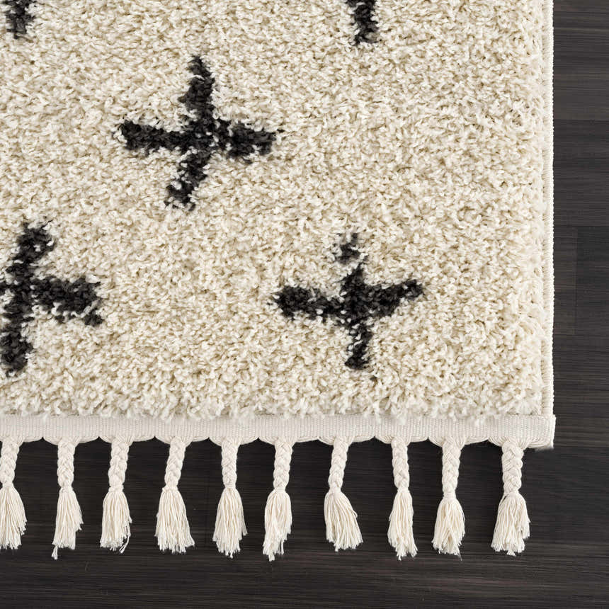 Close-up of the Alstead Shag Area Rug. Beige shag rug with charcoal plus sign pattern and braided fringe detail. Swatch