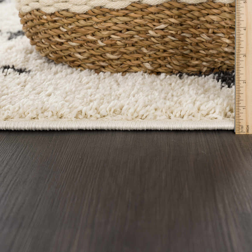 Close-up of the Alstead Shag Area Rug showing its beige color, thick shag texture, and charcoal pattern. Woven basket detail. Pile