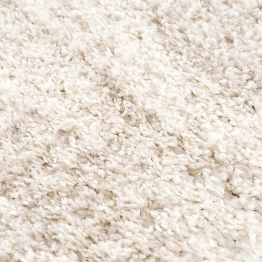 Close-up of the plush Hauteloom Trunding Rug in light beige. Soft, shag texture. Contemporary style. Texture