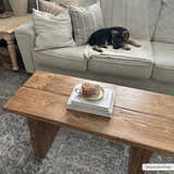 Living room scene with a Greenpoint Dusty Blue Washable Rug, wood coffee table, gray couch, and puppy. Neutral, cozy aesthetic. Roomscene-Rectangle