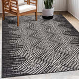 Patio scene with Frankville Black&White All Over Performance Rug, wooden chair, and potted snake plant. Roomscene-Rectangle