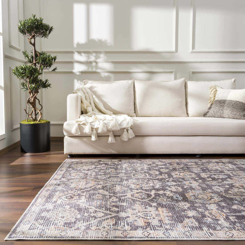 Living room scene with a neutral sofa and the traditional Okoth Area Rug in gray, brown and beige tones. Roomscene-Rectangle