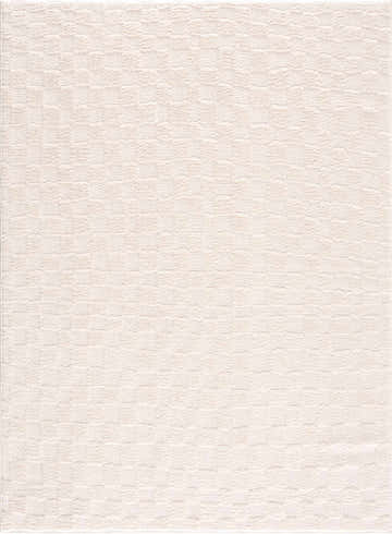 Close-up of the Keesa Checkered Area Rug. The rug has an ivory and off-white checkerboard pattern and a textured look. Design-Rectangle-537