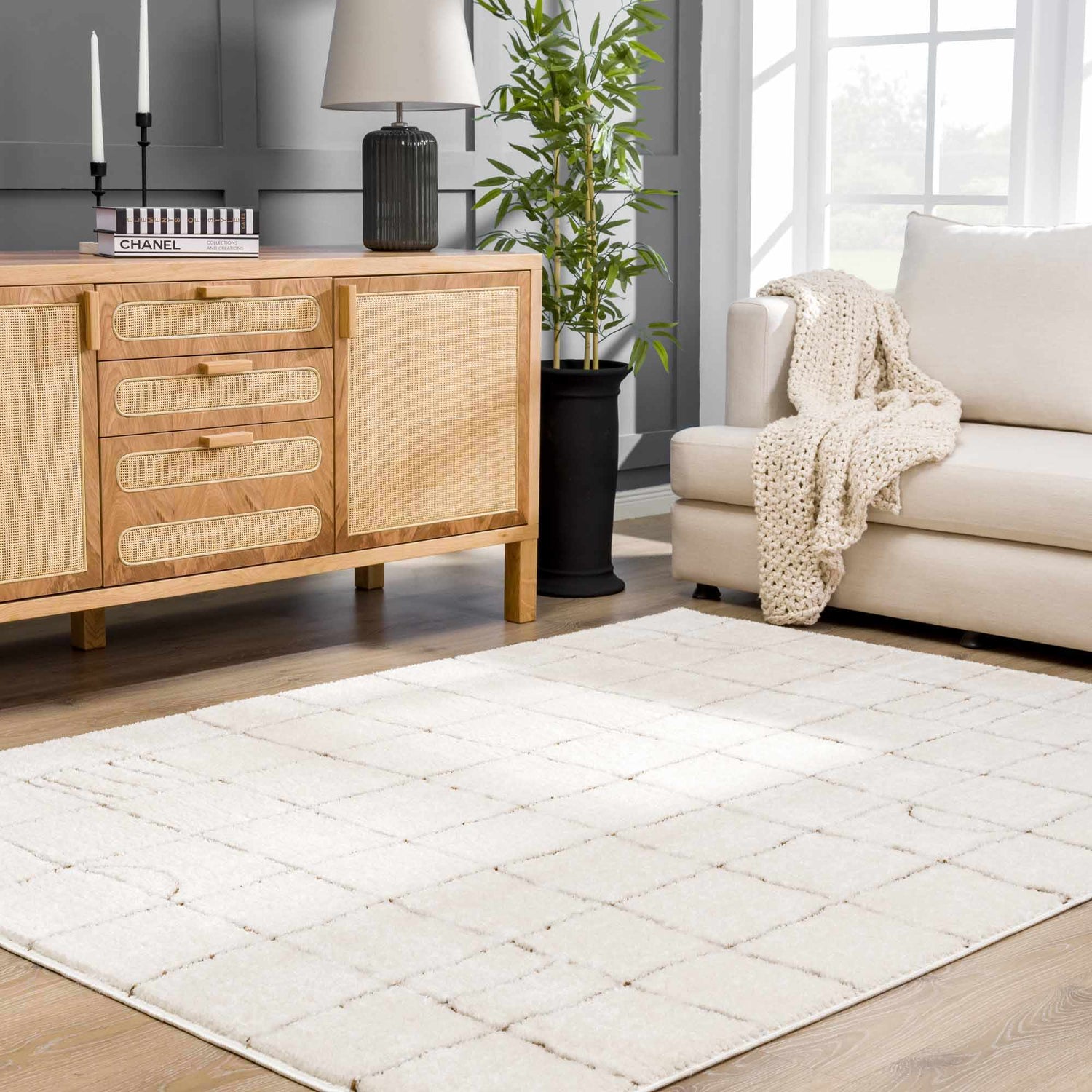 Living room scene with a beige Keanu Area Rug, light wood cabinet, sofa, and potted plant. Roomscene-Rectangle