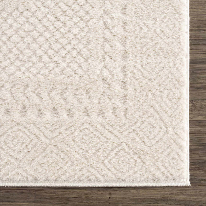 Close-up of the ivory Julio Area Rug showing its plush texture and subtle geometric pattern on dark wood flooring. Swatch