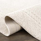 Close-up of the plush Julio Ivory Area Rug showing its soft texture and woven backing. Fold