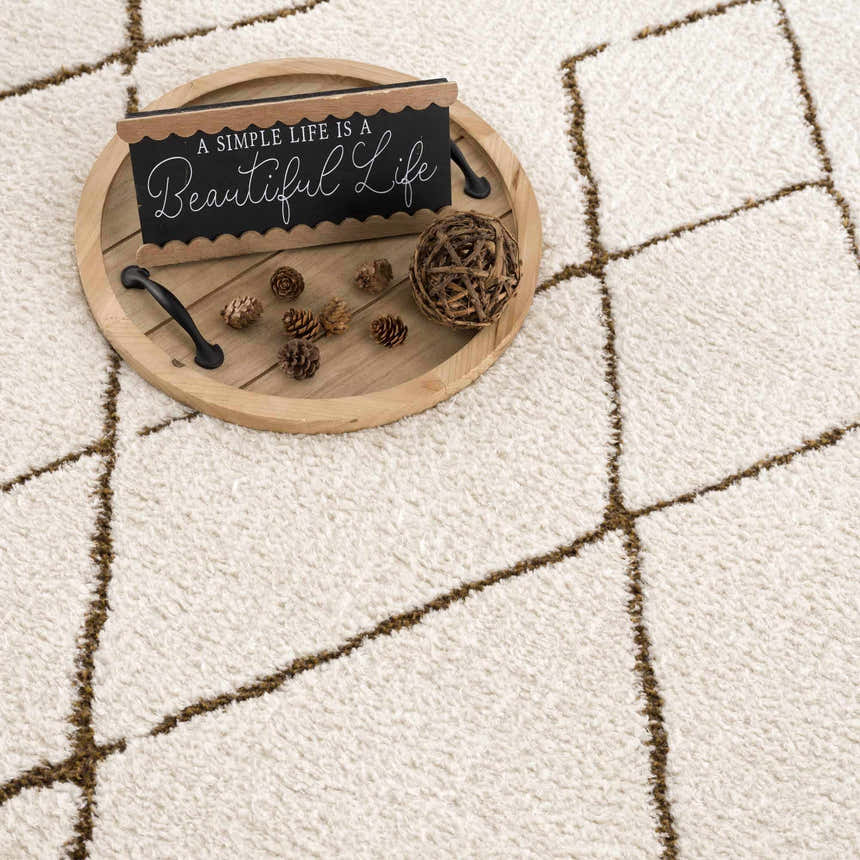 Close-up of the Keone Area Rug, a beige rug with a brown geometric diamond pattern. Soft, textured weave. Styleshot