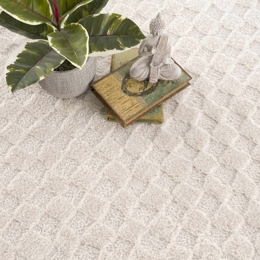 Close-up of the Leryn Ivory Checkered Area Rug, showing its geometric pattern and soft, textured weave in beige and off-white tones. Styleshot