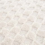 Close-up of the plush, ivory Leryn Ivory Checkered Area Rug. The rug features a textured, geometric checkered pattern. Texture