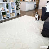 Living room scene with a bone Gyundyukoru Area Rug, gray sofa, white shelving, and a cute dog. Roomscene-Rectangle