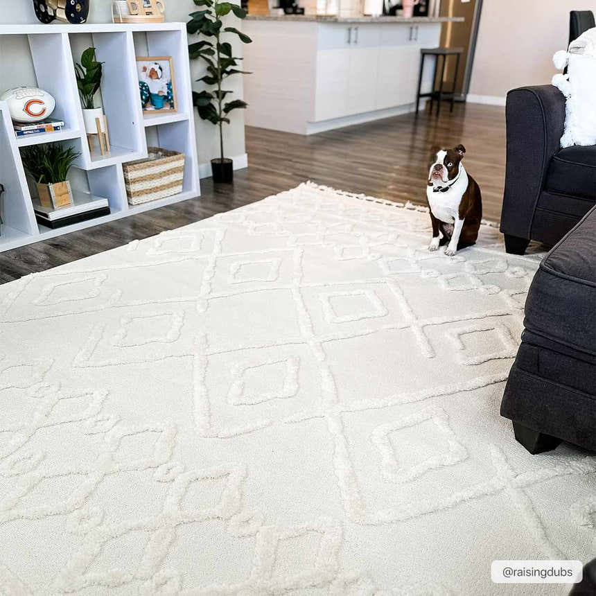 Living room scene with a bone Gyundyukoru Area Rug, gray sofa, white shelving, and a cute dog. Roomscene-Rectangle