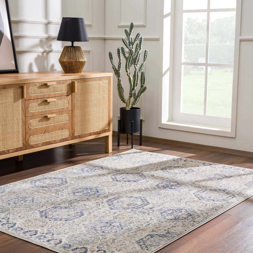 Living room scene with a Parkerfield Cream & Blue Area Rug, wood floors, and a light wood cabinet with a lamp and cactus. Roomscene-Rectangle