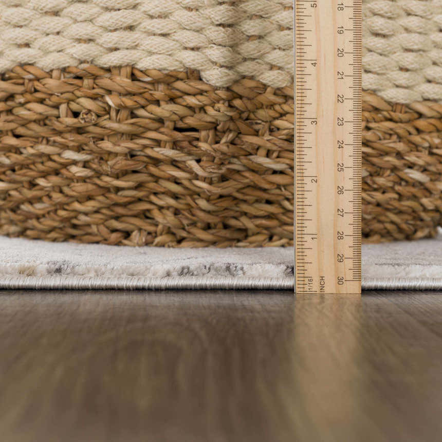 Close-up of the Georgiana Area Rug showing the pile height with a ruler and a woven basket. Beige and gray tones. Pile