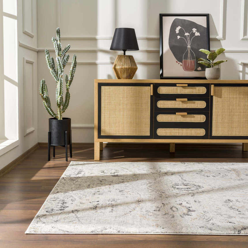 Living room scene with a Georgiana Area Rug, beige walls, and a black and tan sideboard. Roomscene-Rectangle