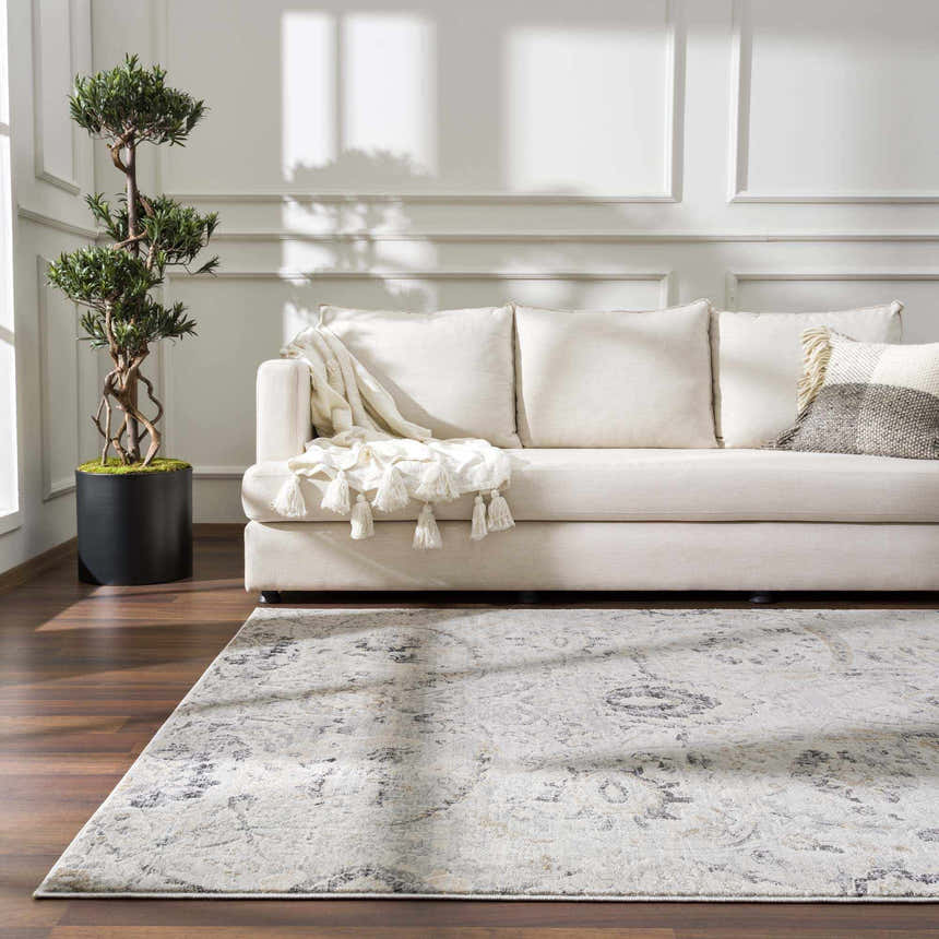 Living room scene with a neutral sofa and the beige Georgiana Area Rug on a dark wood floor. Roomscene-Rectangle