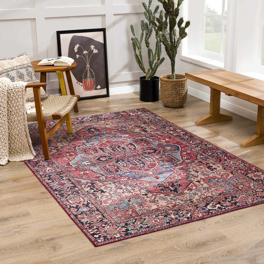 Living room scene with a red and blue Neyland Area Rug, wood chair, bench, and cactus plants. Roomscene-Rectangle