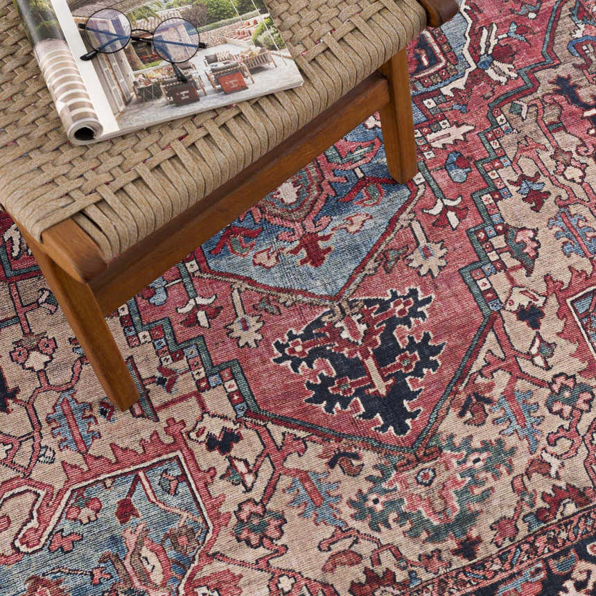 Close-up of the Neyland Area Rug, a traditional style rug with beige, red, and blue tones and an intricate oriental pattern. Styleshot