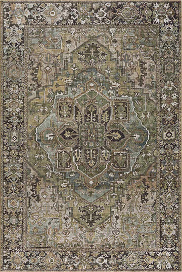 Close-up of the Neyland Sage Green Area Rug, showcasing its traditional oriental pattern and blend of sage, olive, and charcoal colors. Design-Rectangle-576