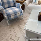 Living room scene with blue buffalo check chair and Ivory Alya 3D Medallion Fringe rug. Roomscene-Rectangle
