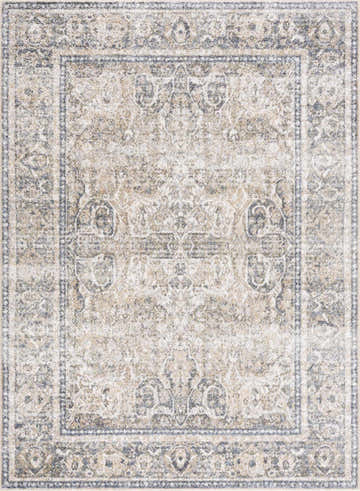 Close-up of the Arias Boutique Washable Rug in beige and gray, showcasing its traditional Persian-style design and soft texture. Design-Rectangle-5373