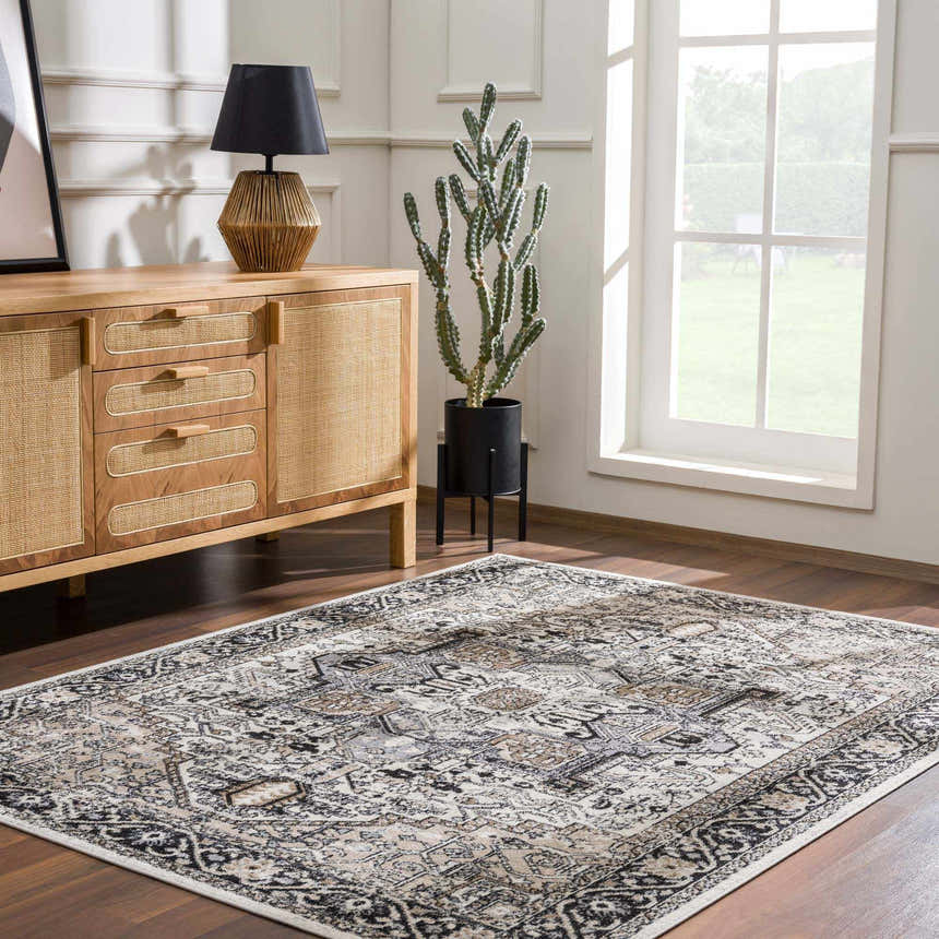 Living room scene with a Cabacungan Washable Area Rug, wood cabinet, lamp, cactus, and natural light from a window. Roomscene-Rectangle