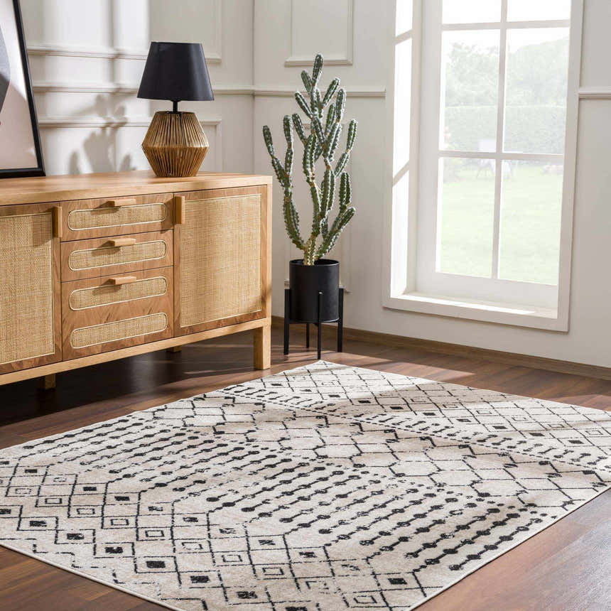 Entryway with a wood cabinet, cactus, and the cream and black geometric Joppatowne Washable Area Rug. Roomscene-Rectangle